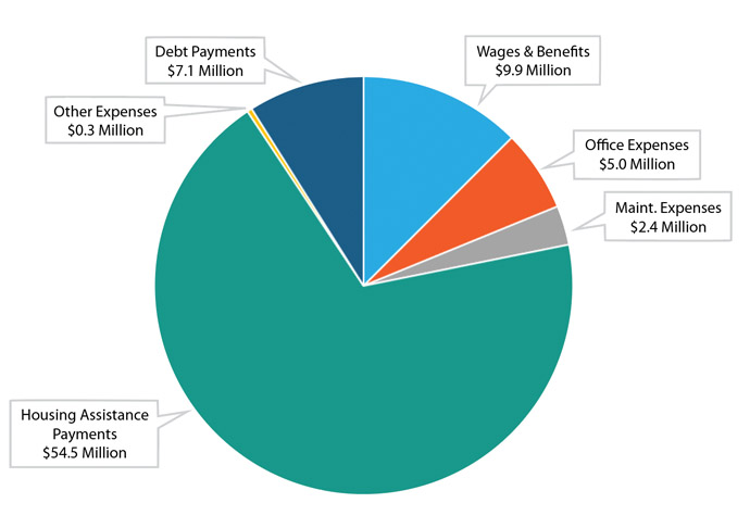 Chart 2: Annual Expenses